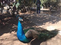 -西安秦岭野生动物园