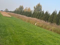 -汉长安城未央宫国家考古遗址公园