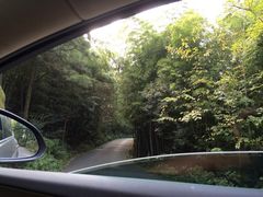 iphone_upload_pic-穹窿山景区