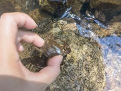 -广东温泉宾馆
