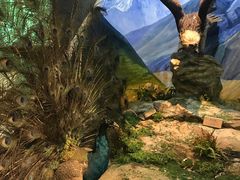 -陕西自然博物馆