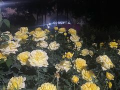 -人民公园(罗湖区)