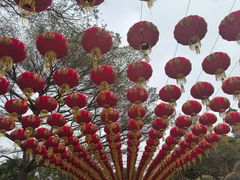 -广州莲花山旅游区