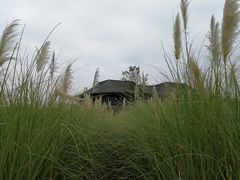 -中国天府农业博览园