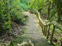 -龙泉洞(沙坪坝区)