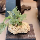 宁波新店|重新装修的dew没有金属蓝了