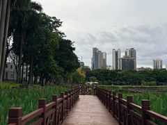 -南宁南湖公园