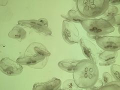 -沈阳海洋探索中心