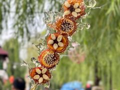 -济南大明湖景区