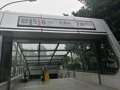 -大龙山(地铁站)