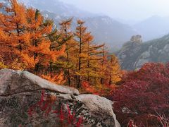-崂山巨峰游览区