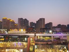 -赵小姐丨新中餐(曲江店)