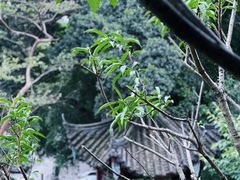 -乌山风景区