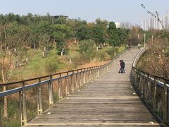 -苏州清山会议中心