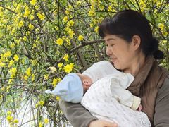 -田螺阿姨自营月嫂·育儿嫂(高新店)