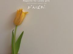 -豆豆花艺(新光天地店)
