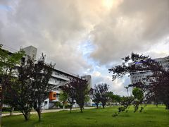 -上海第二工业大学(金海路校区)