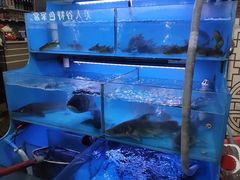 -韩妹鱼庄·泸定老字号(泸定店)