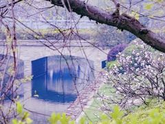 -羊山湖公园