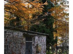 -四明山国家森林公园