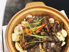 野生黄鳝煲-洋房汤馆