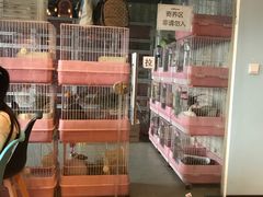 -藦茜花园宠物主题亲子互动体验馆(国顺东路店)