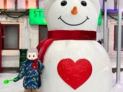 -世界之窗阿尔卑斯冰雪世界