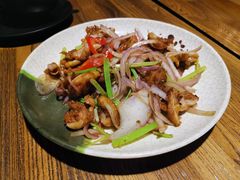 -恐龙人俱乐部