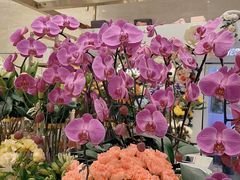 -花邻FloweringLife花艺气球派对(武康大楼店)
