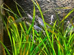 -上海海洋水族馆