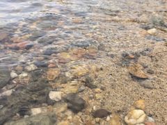 -南昌海洋公园