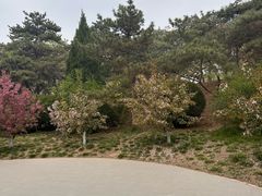 -元大都城垣遗址公园