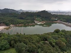 -清溪大王山森林公园