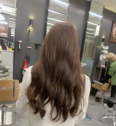 -藤野造型