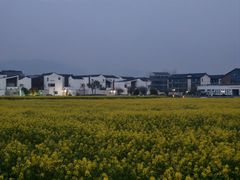 -东梓关景区村庄