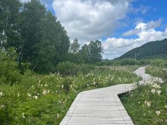 -塞罕坝国家级自然保护区