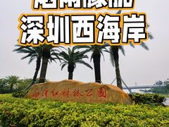 -宝安西湾红树林湿地公园