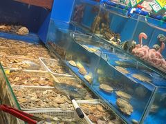-潮庭·大连海鲜·炭火烧烤·扇贝王(大连店)