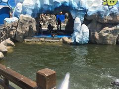 -华夏文旅海洋公园