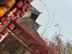 -磁器口古镇