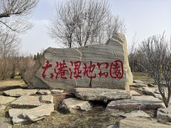 -大港湿地公园