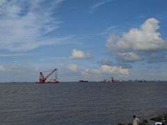 -上海滨江森林公园