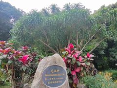 -中国科学院西双版纳热带植物园