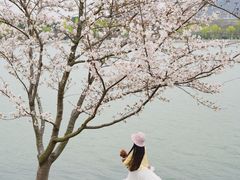 -羊山湖公园