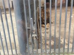 -祥源·阜阳生态乐园