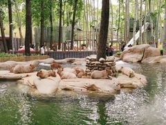 -北京野生动物园