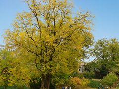 -元大都城垣遗址公园