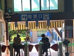 -广东惠东海龟国家级自然保护区