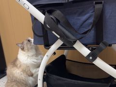 -瑞派康怡24h宠物医院·犬猫医疗中心·微创绝育(瑞景分院)
