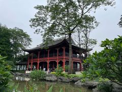 -顺峰山公园